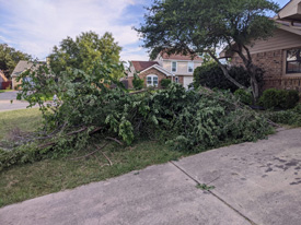 Lawn/Tree Debris Haul Off